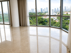 Madison Residences (D10), Condominium #597623561